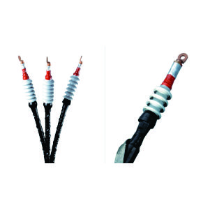Heat Shrink type Termination 2
