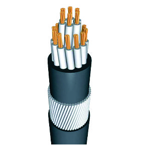 Power & Control Cables
